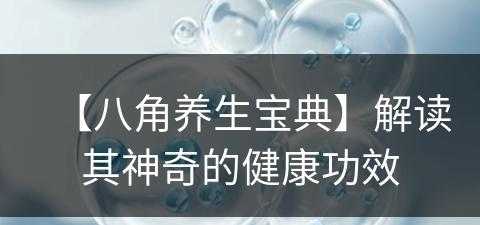 【八角养生宝典】解读其神奇的健康功效